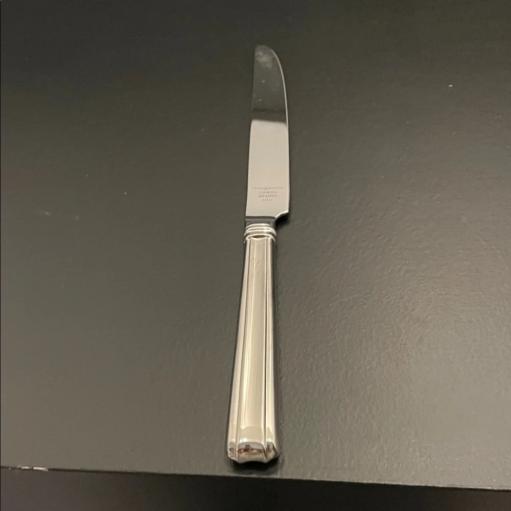 Reed & Barton Bellevue Glossy 18/8 Stainless Dinner Knife NEW in Sleeve
